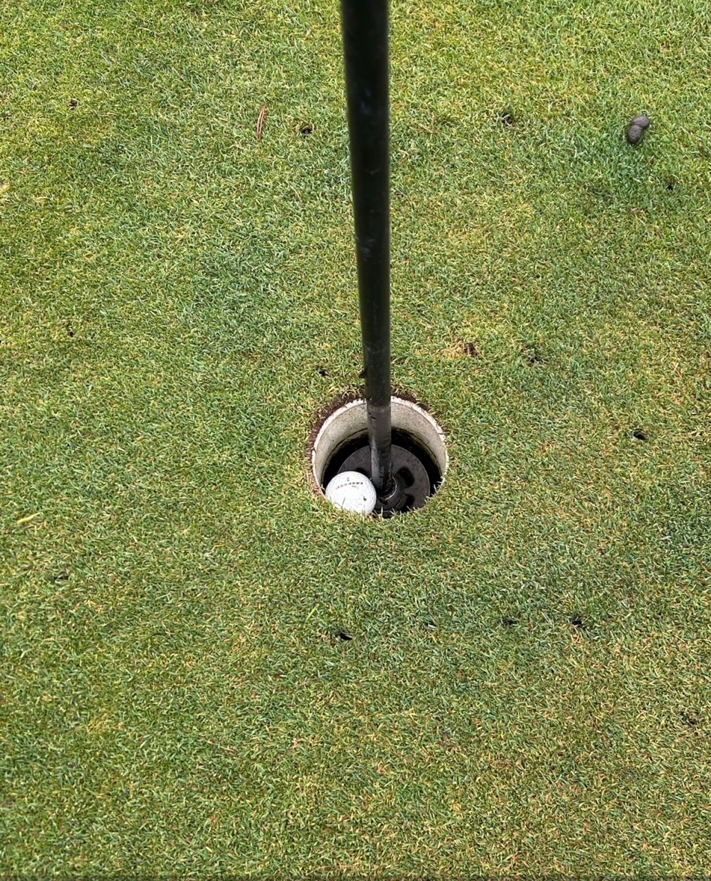 Hole In One