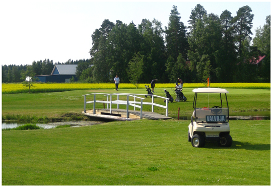 Kenttävalvoja golfautolla
